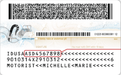 Back of a sample enhanced drivers license